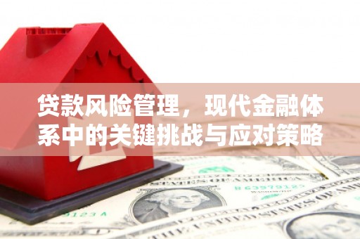 井冈山贷款风险管理，现代金融体系中的关键挑战与应对策略