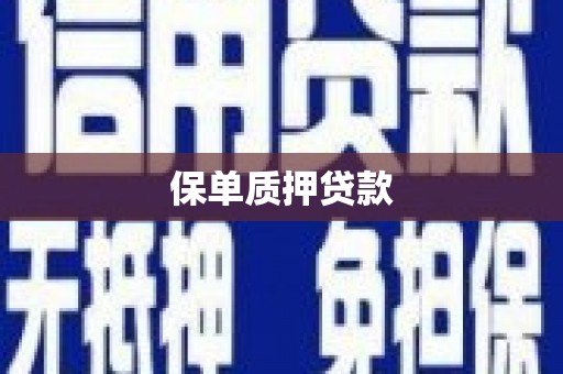 井冈山保单质押贷款