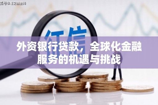 井冈山外资银行贷款，全球化金融服务的机遇与挑战