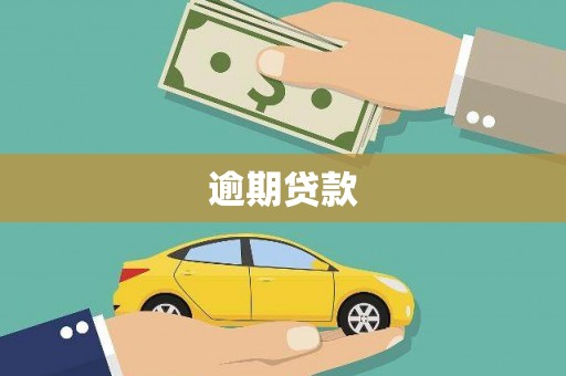 井冈山逾期贷款
