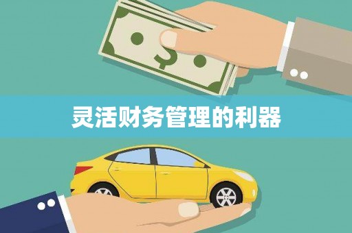 井冈山灵活财务管理的利器