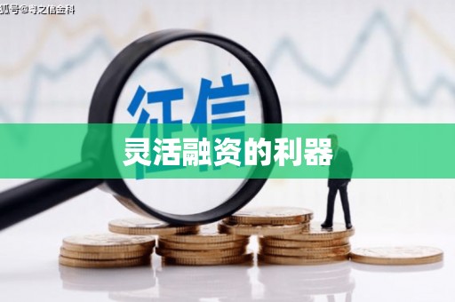 井冈山灵活融资的利器