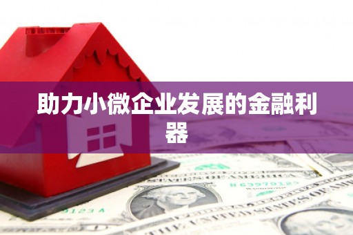 井冈山助力小微企业发展的金融利器