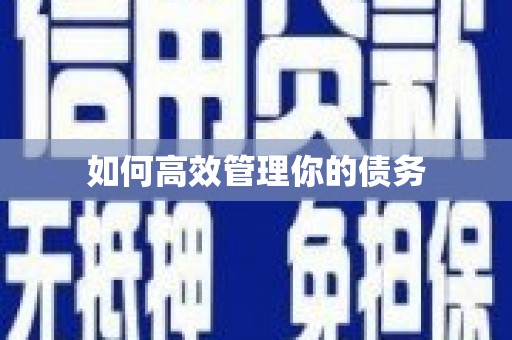 井冈山如何高效管理你的债务