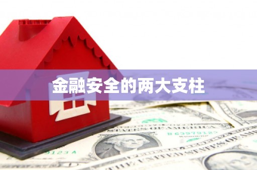 井冈山金融安全的两大支柱