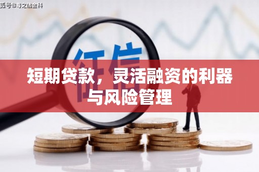 井冈山短期贷款，灵活融资的利器与风险管理